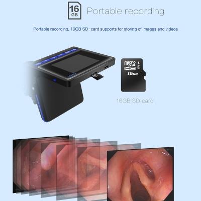 portable.jpg portable.jpg